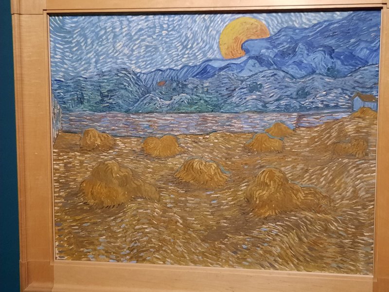 IMG-20240603-WA0015 (1)